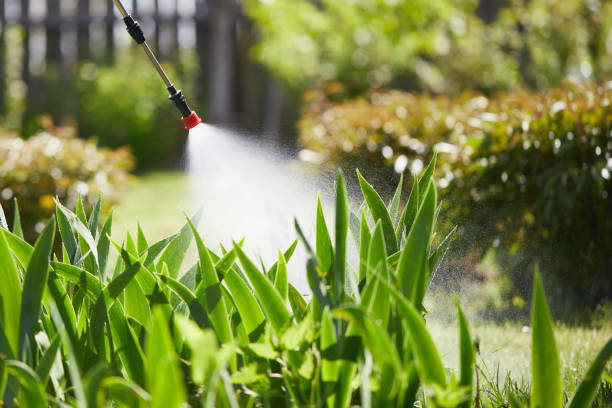 24/7 Emergency Mosquito Control experts in Oliver, PA